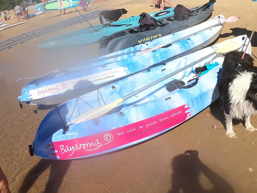 Bayaroma supports local events - Paddle out for Whales